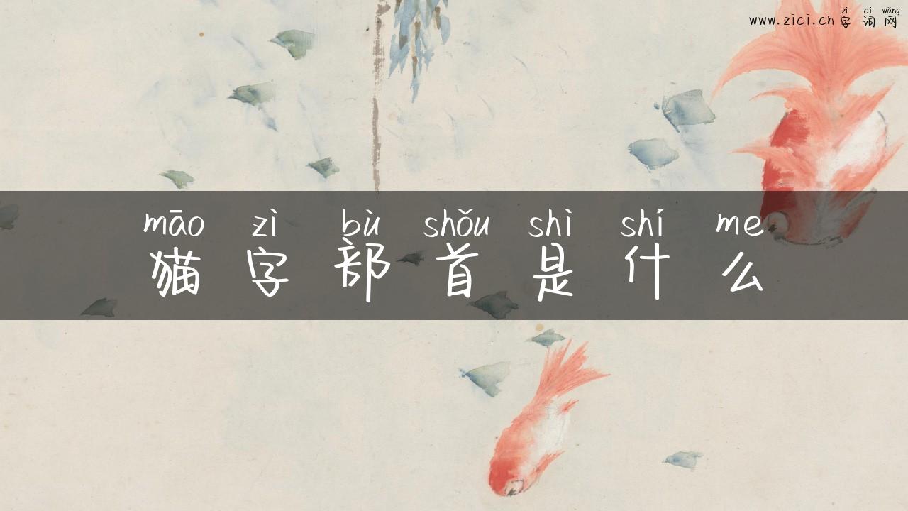 猫字部首是什么