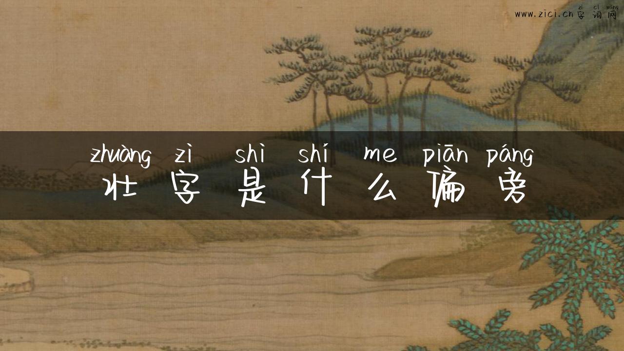 壮字是什么偏旁