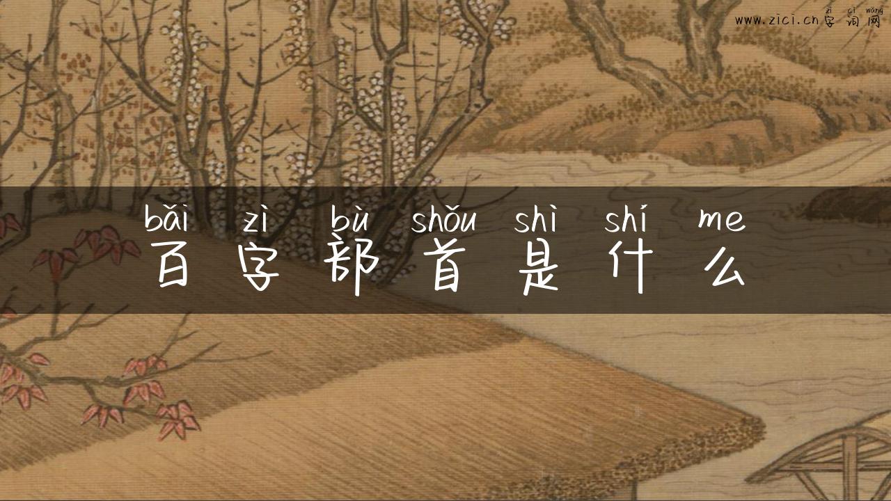 百字部首是什么
