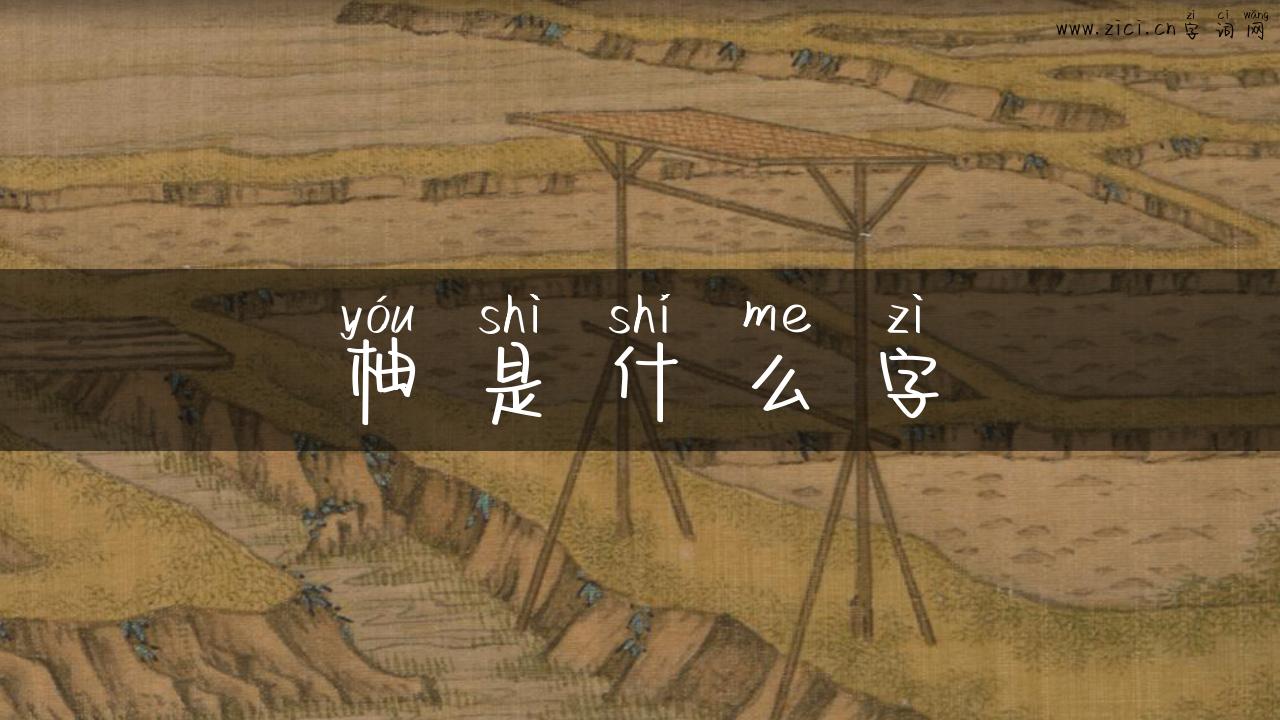 柚是什么字