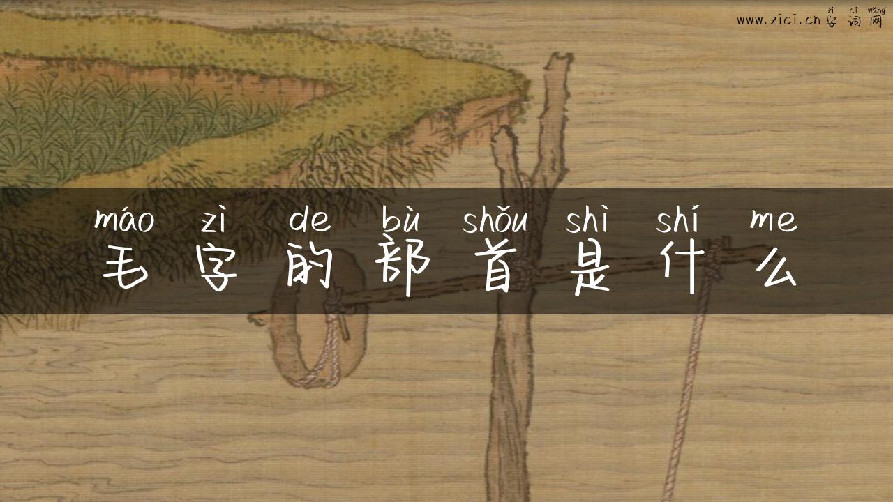 毛字的部首是什么