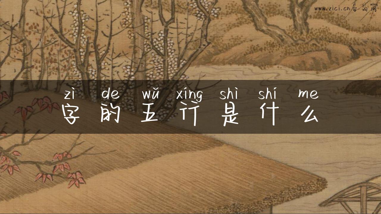 字的五行是什么