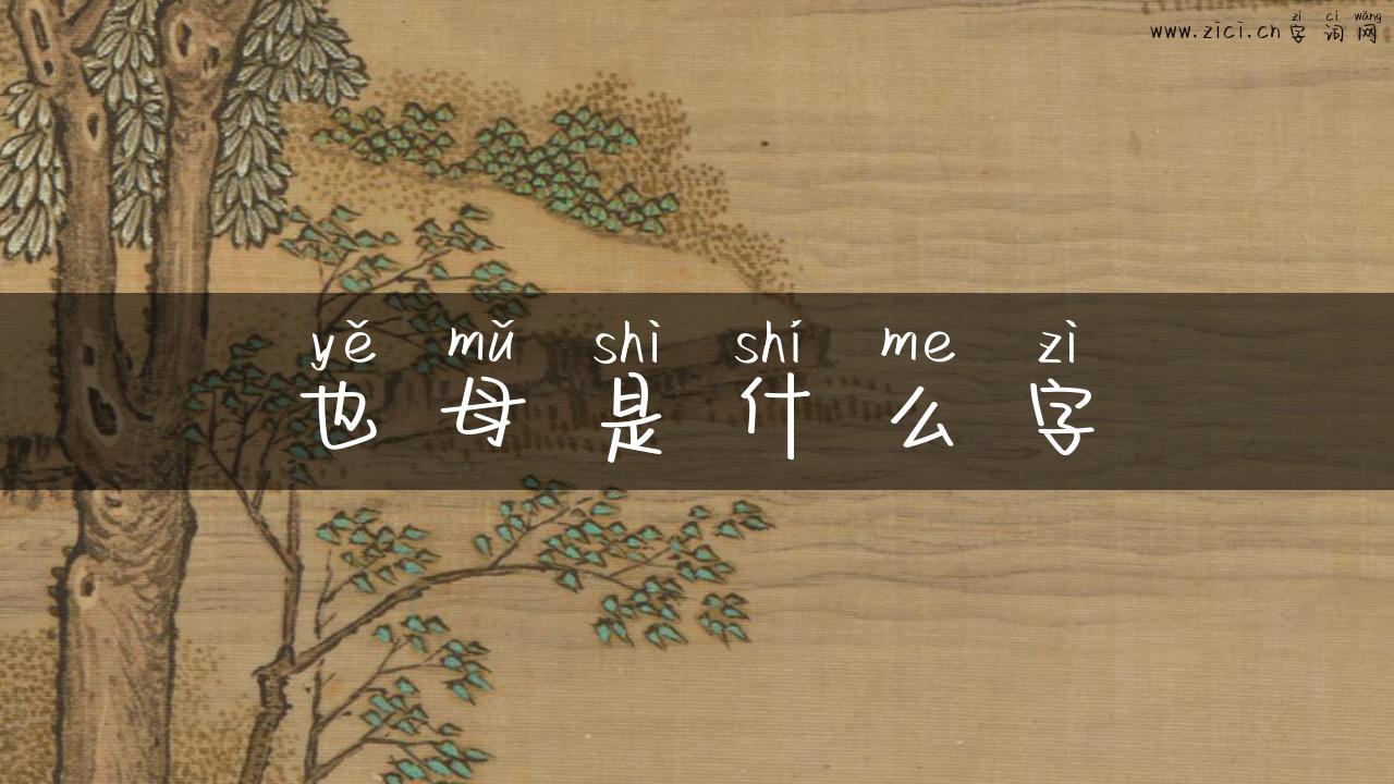 也母是什么字