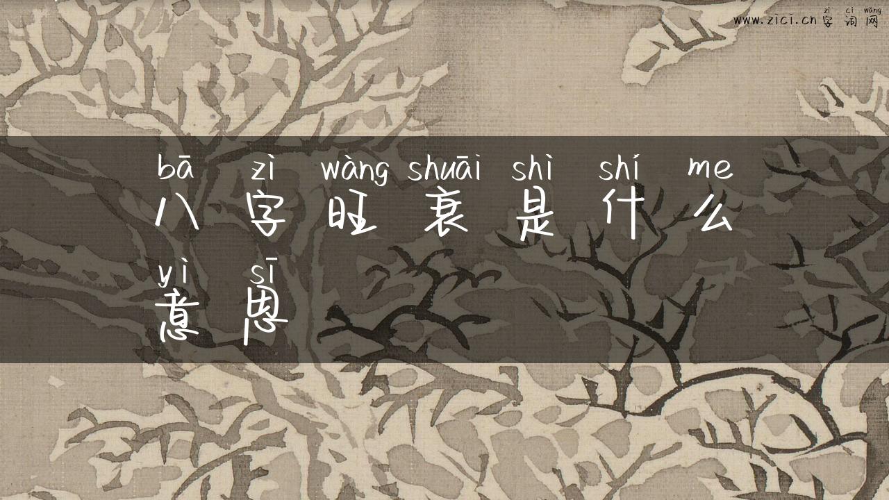八字旺衰是什么意思