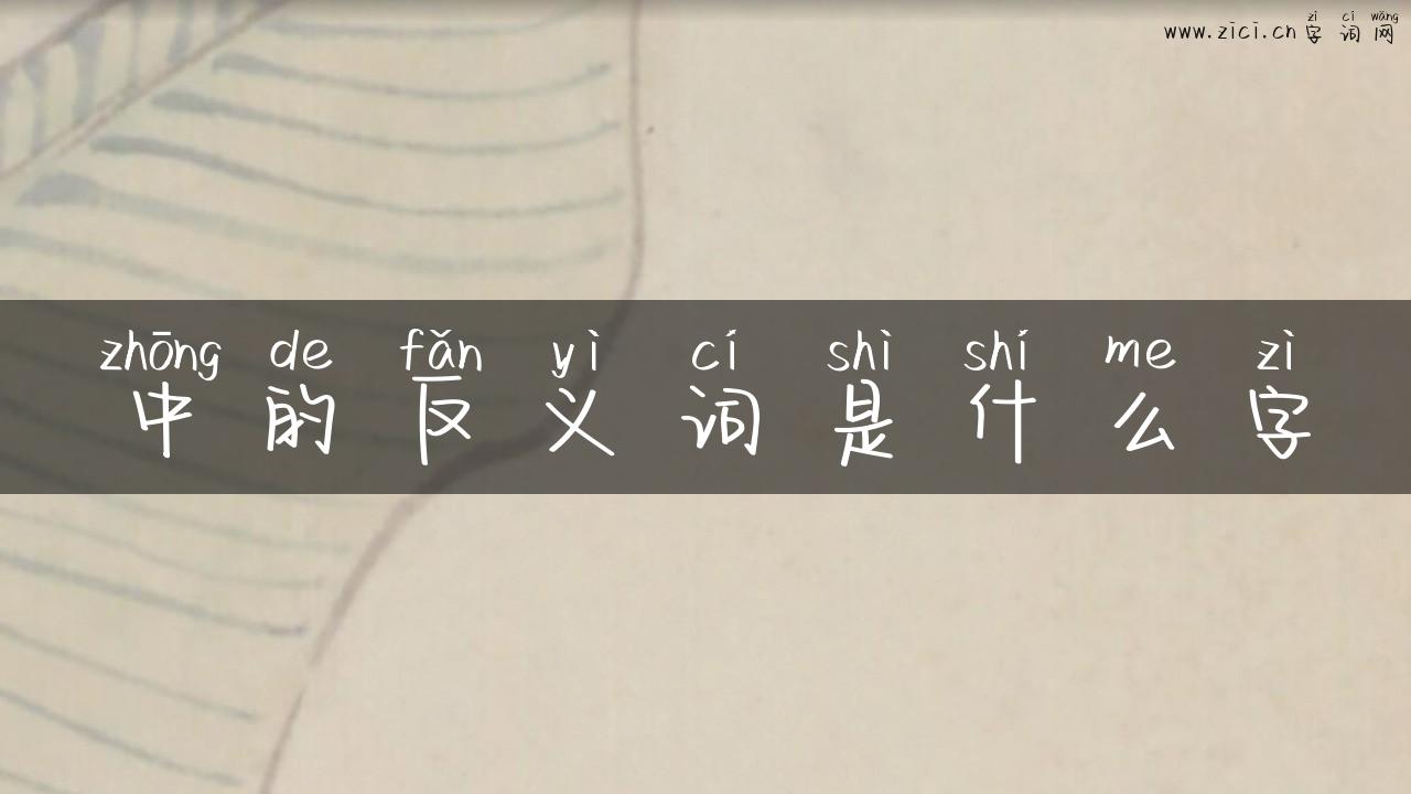 中的反义词是什么字