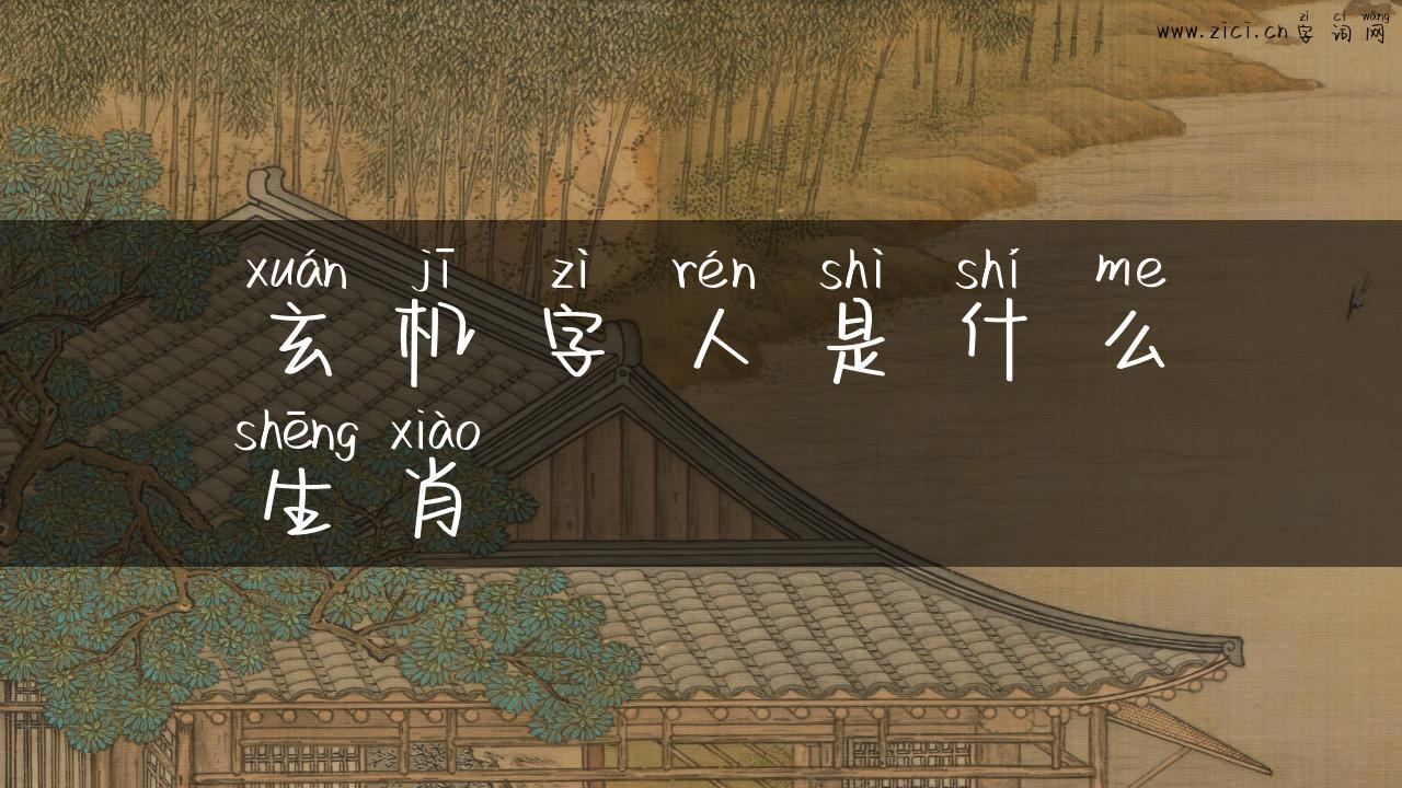 玄机字人是什么生肖