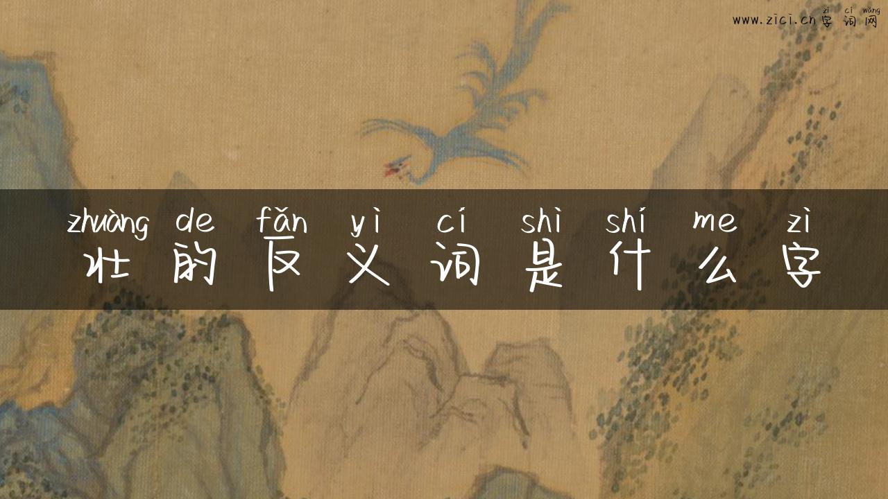 壮的反义词是什么字