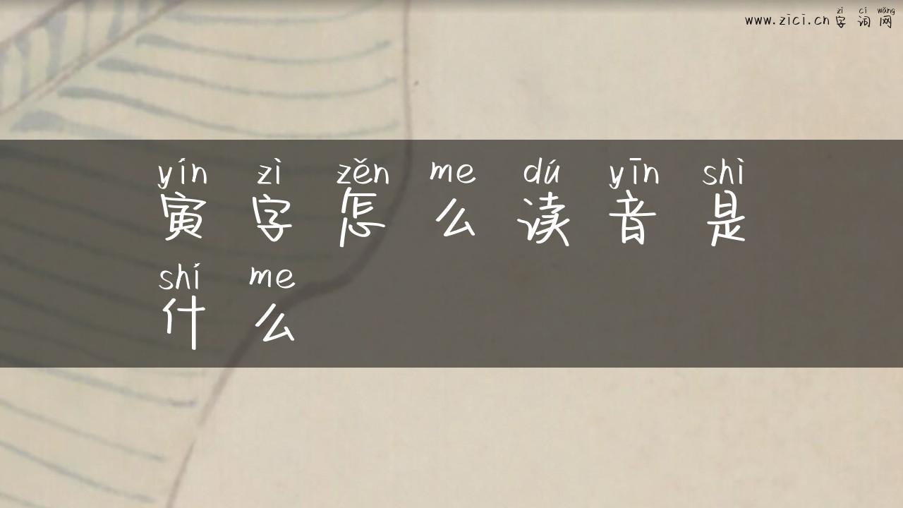 寅字怎么读音是什么