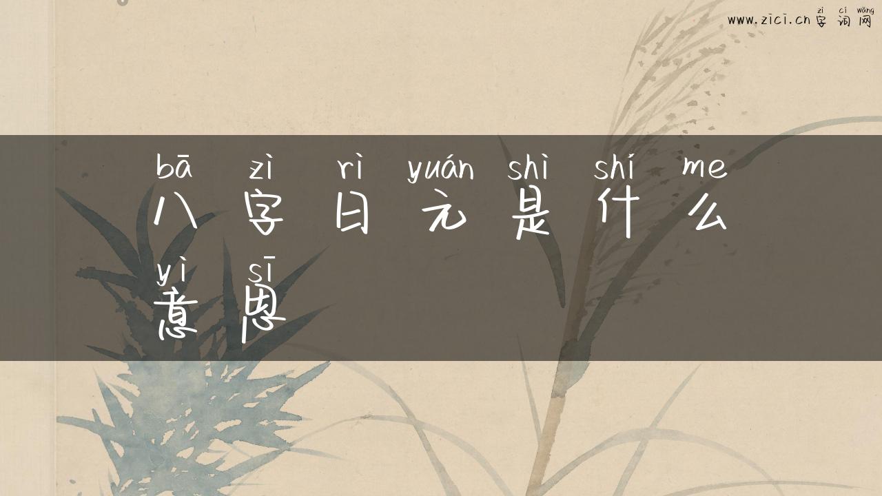 八字日元是什么意思