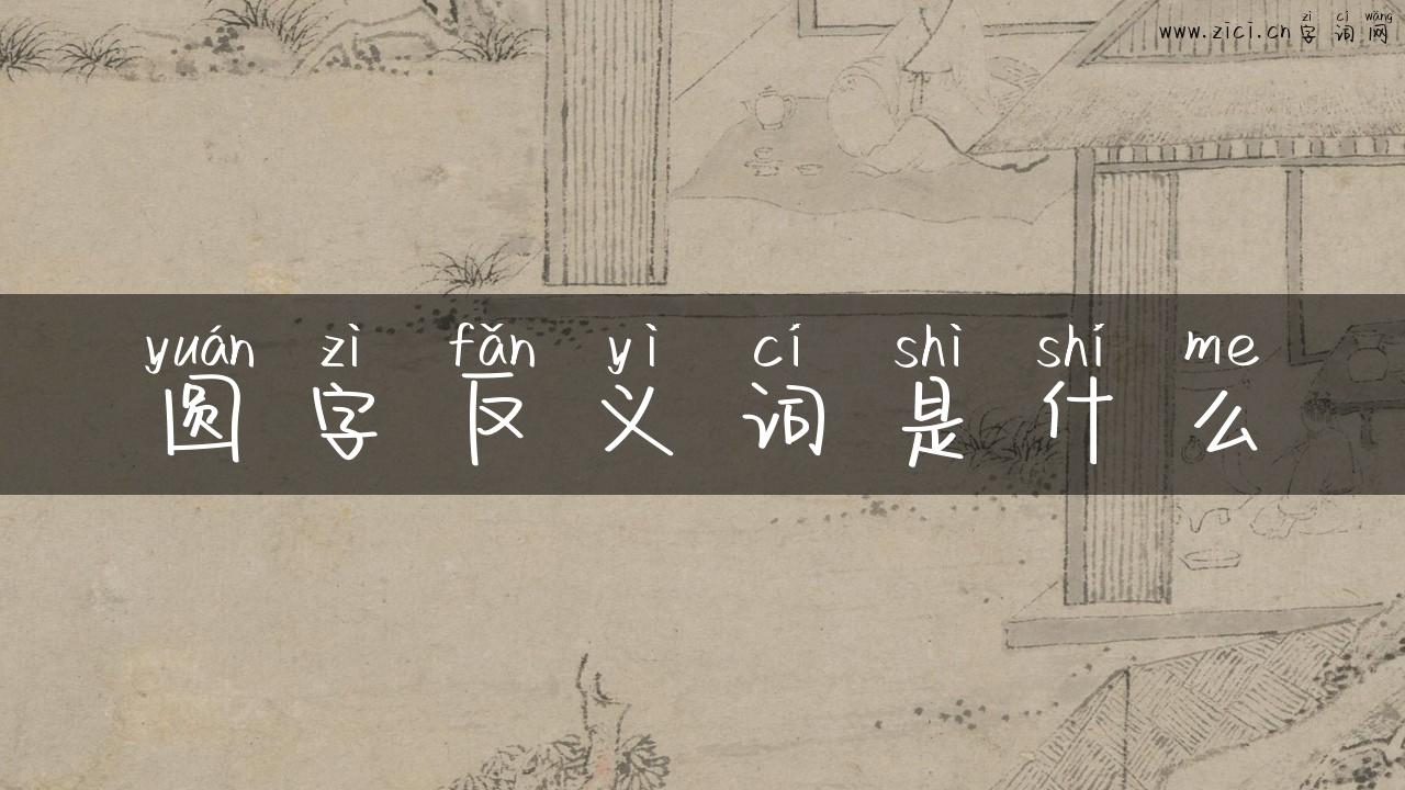 圆字反义词是什么