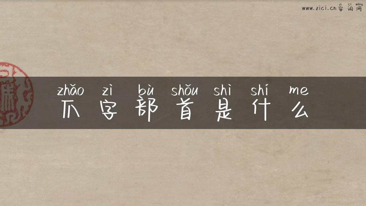 爪字部首是什么