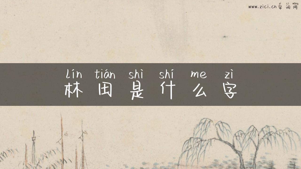 林田是什么字