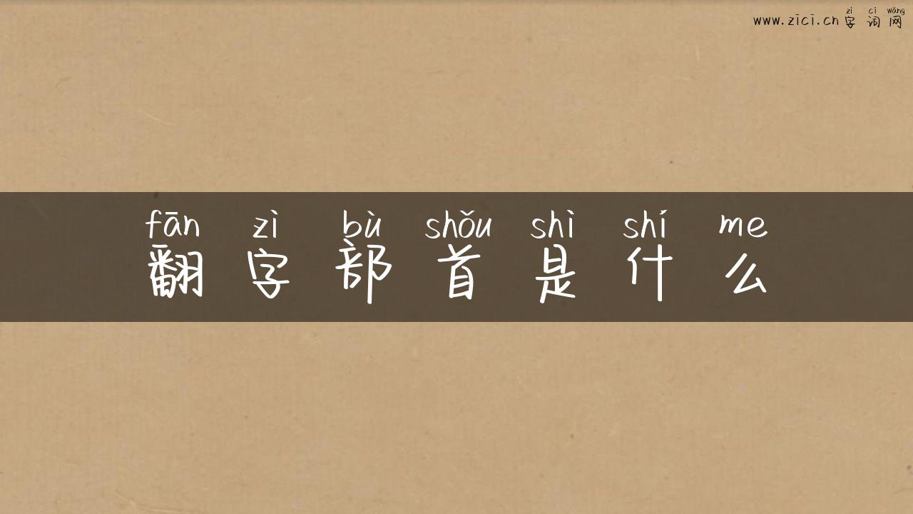 翻字部首是什么