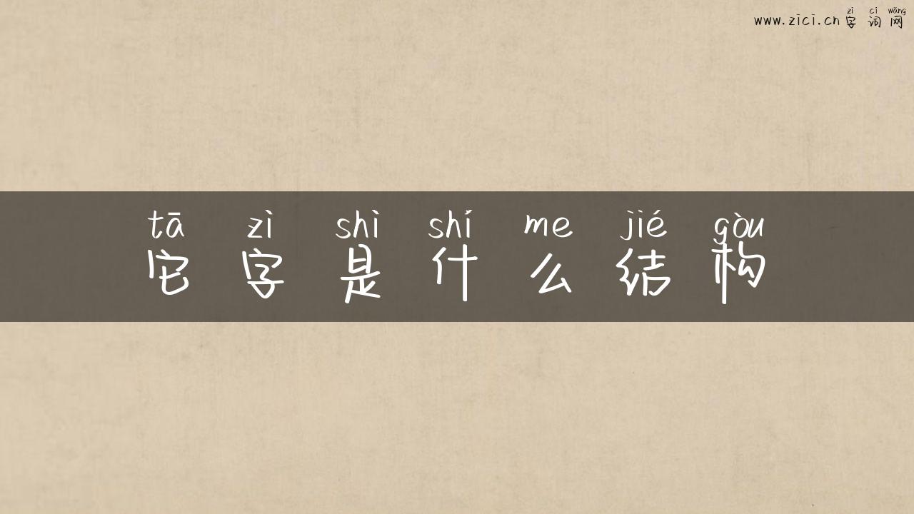 它字是什么结构