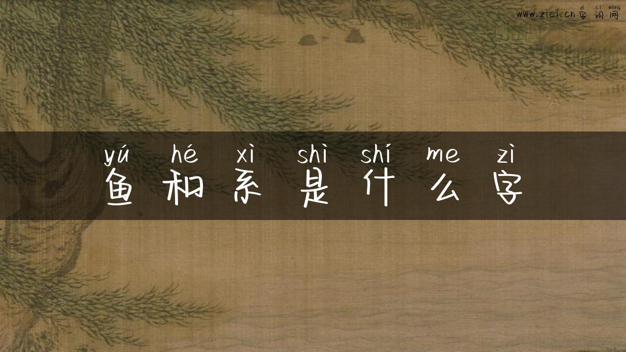 鱼和系是什么字