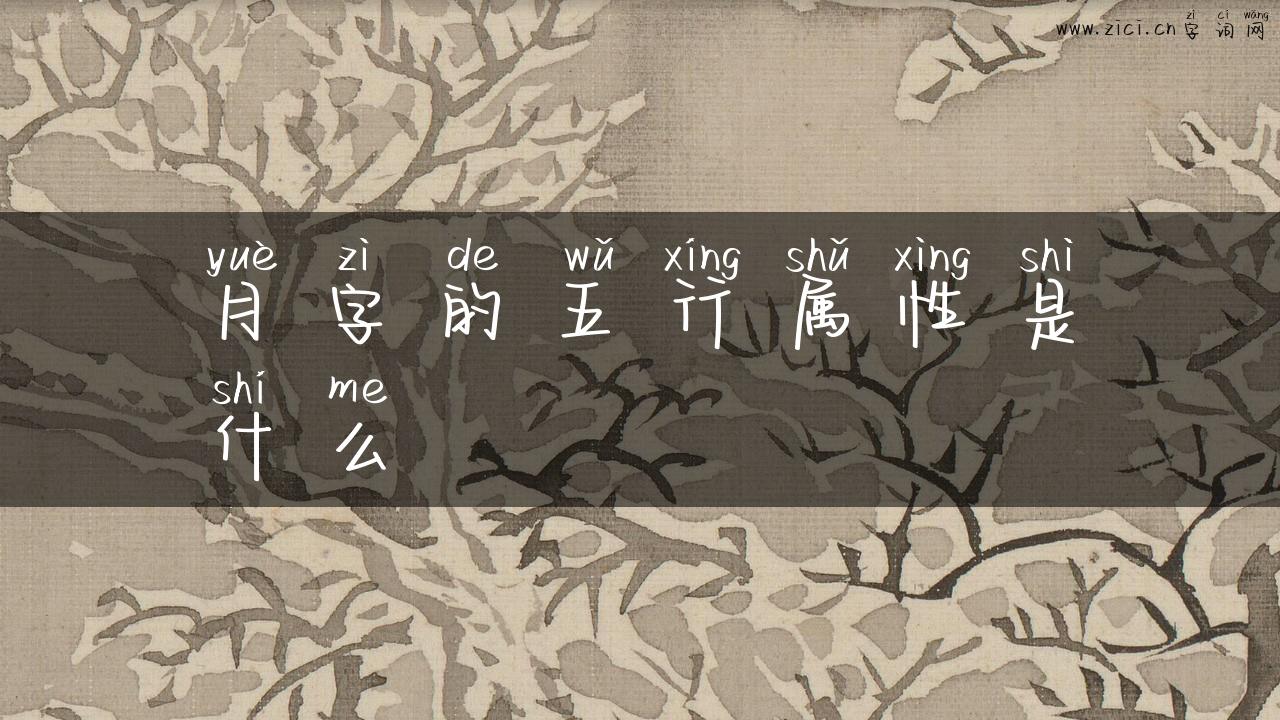 月字的五行属性是什么