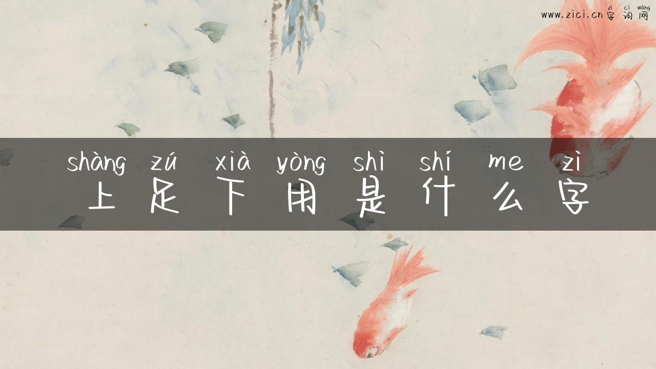 上足下用是什么字