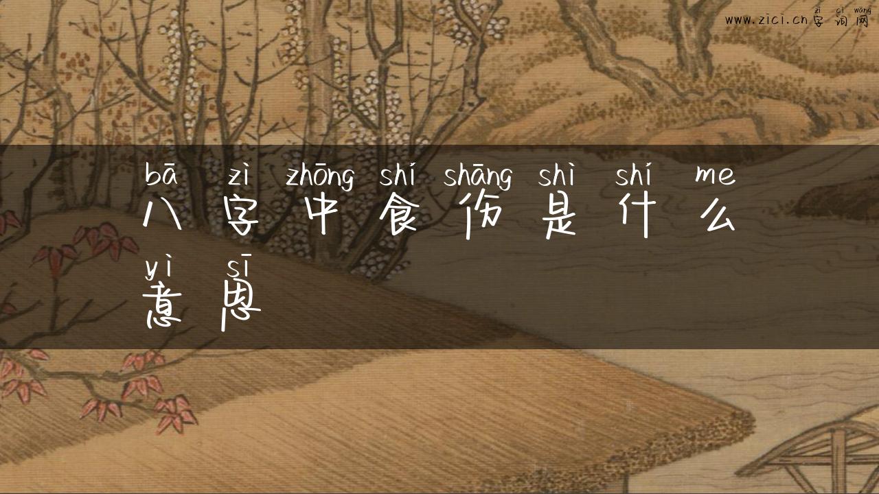 八字中食伤是什么意思