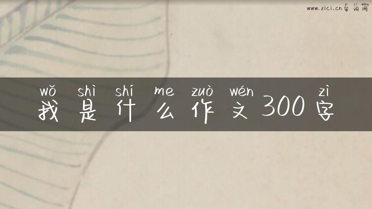 我是什么作文300字