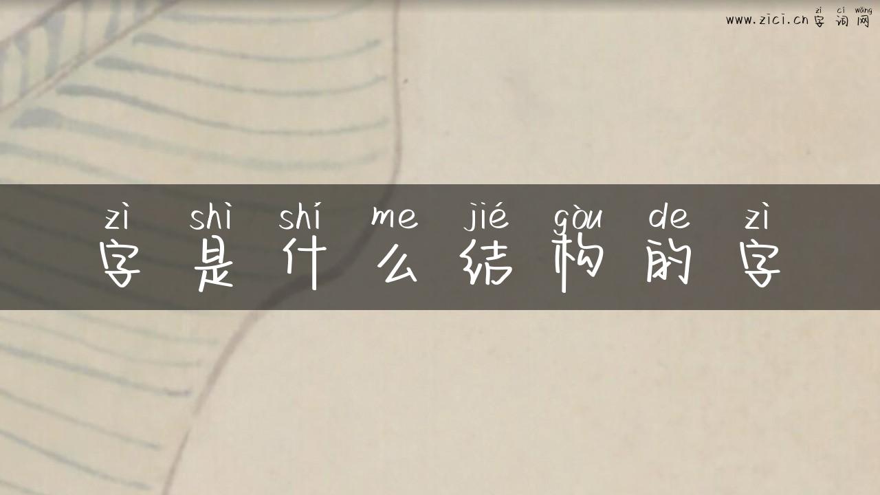 字是什么结构的字