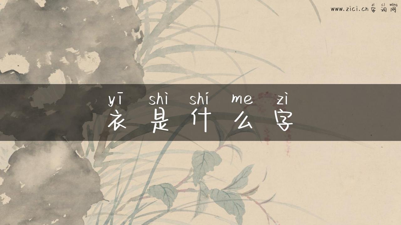 衣是什么字