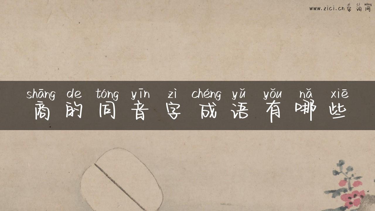 商的同音字成语有哪些