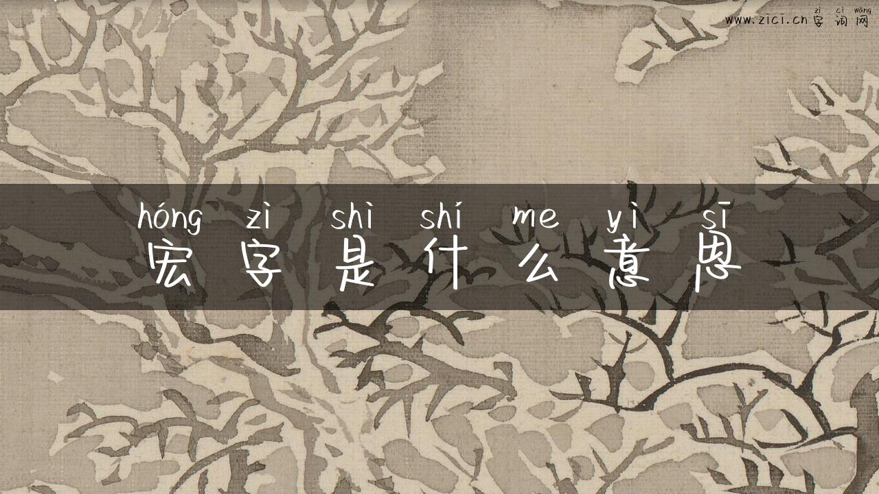 宏字是什么意思