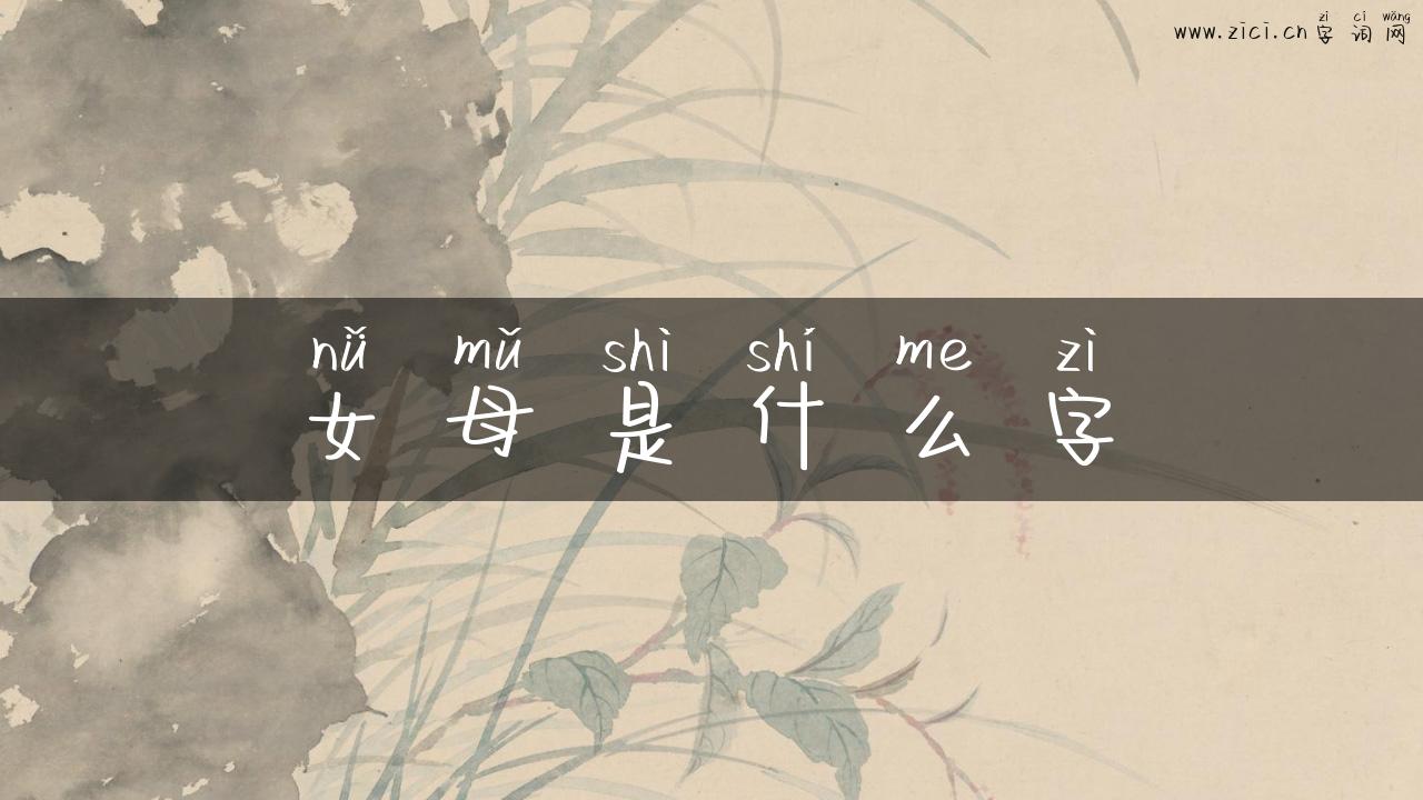 女母是什么字