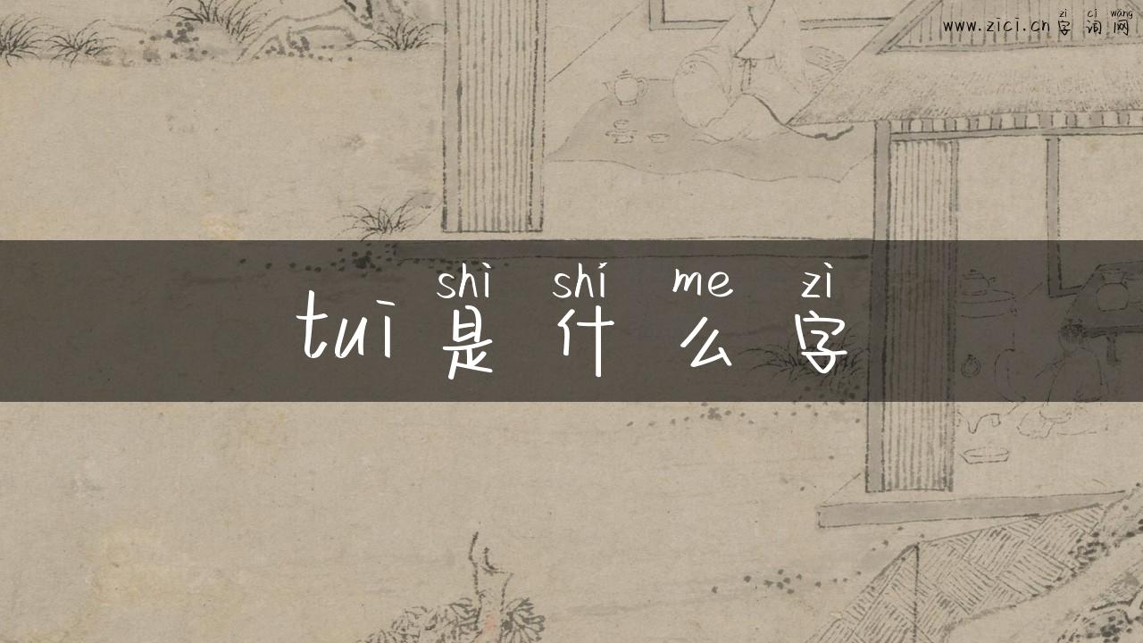tui是什么字