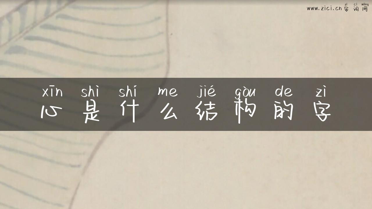 心是什么结构的字