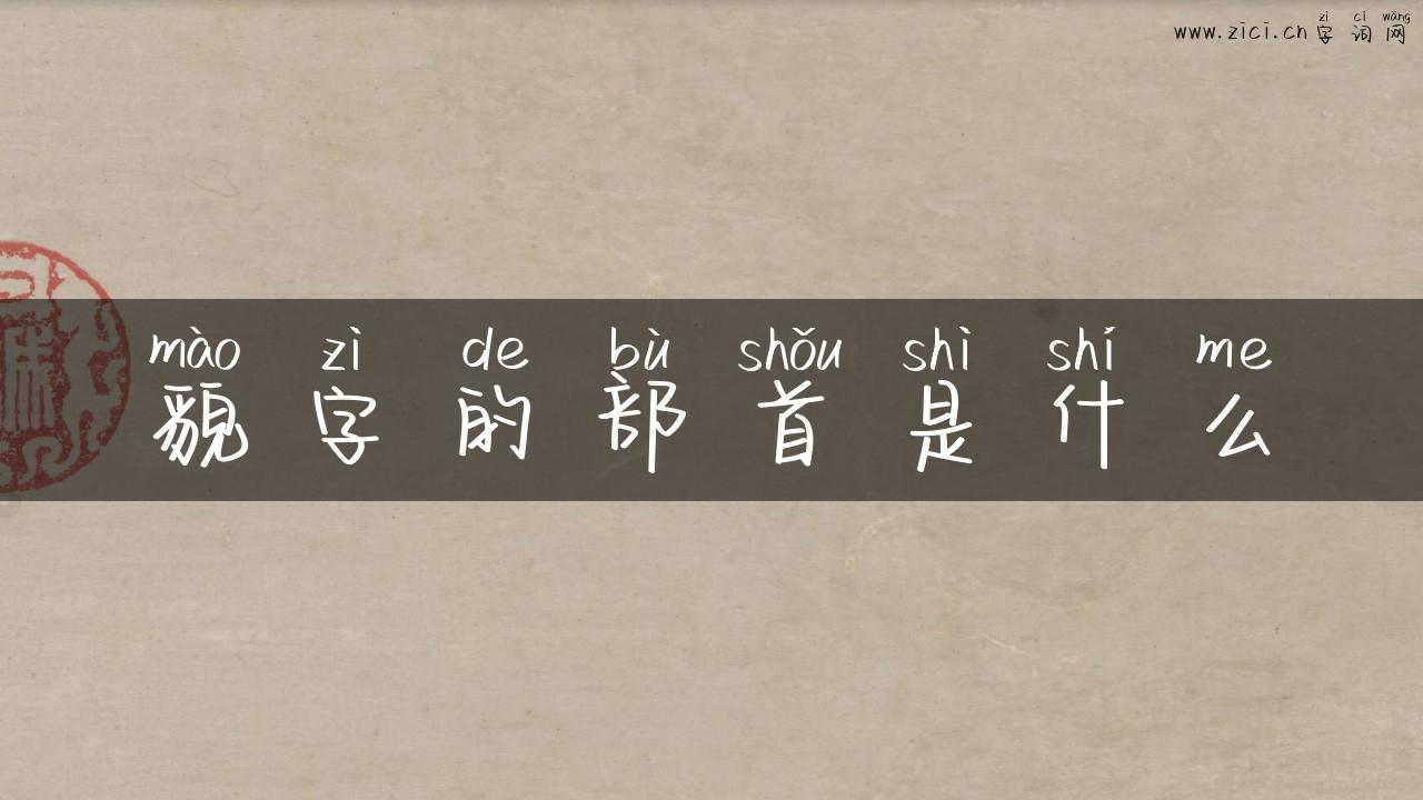 貌字的部首是什么
