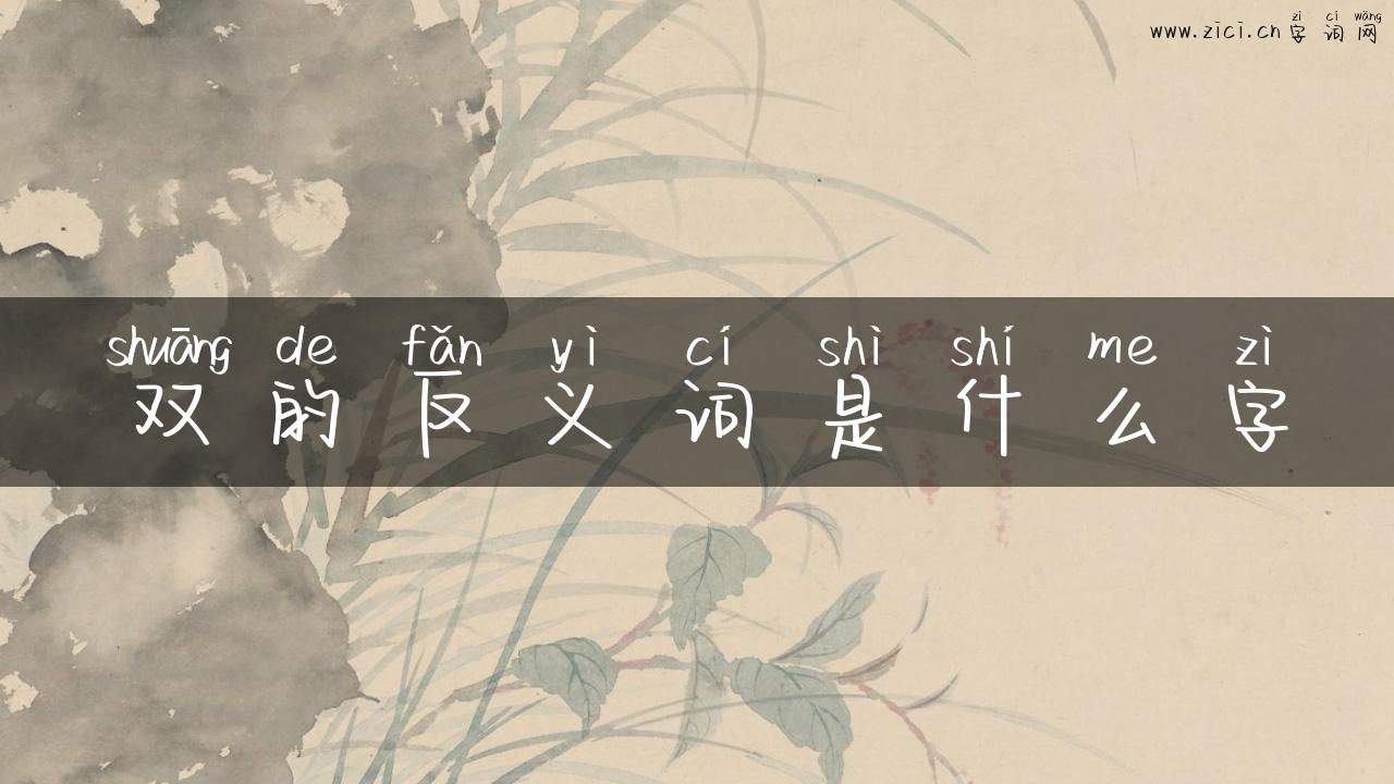 双的反义词是什么字