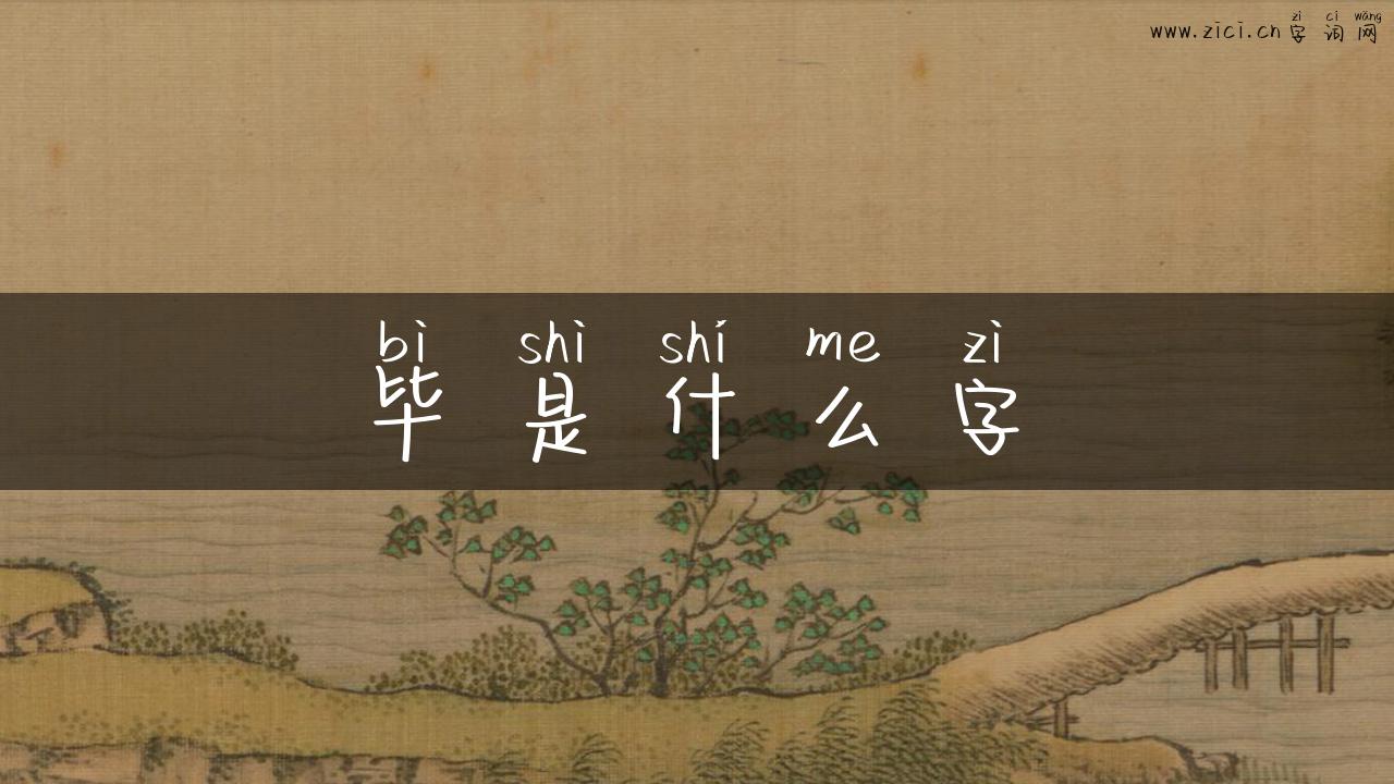 毕是什么字