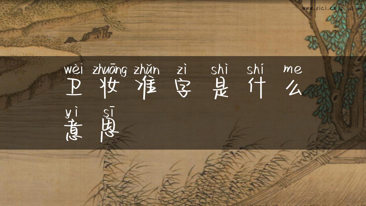 卫妆准字是什么意思