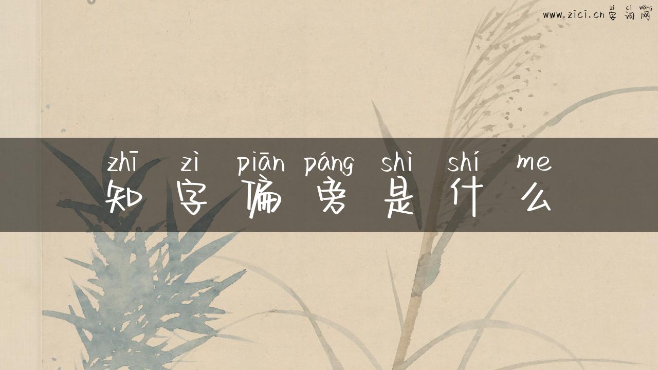知字偏旁是什么
