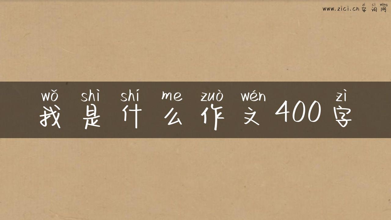 我是什么作文400字
