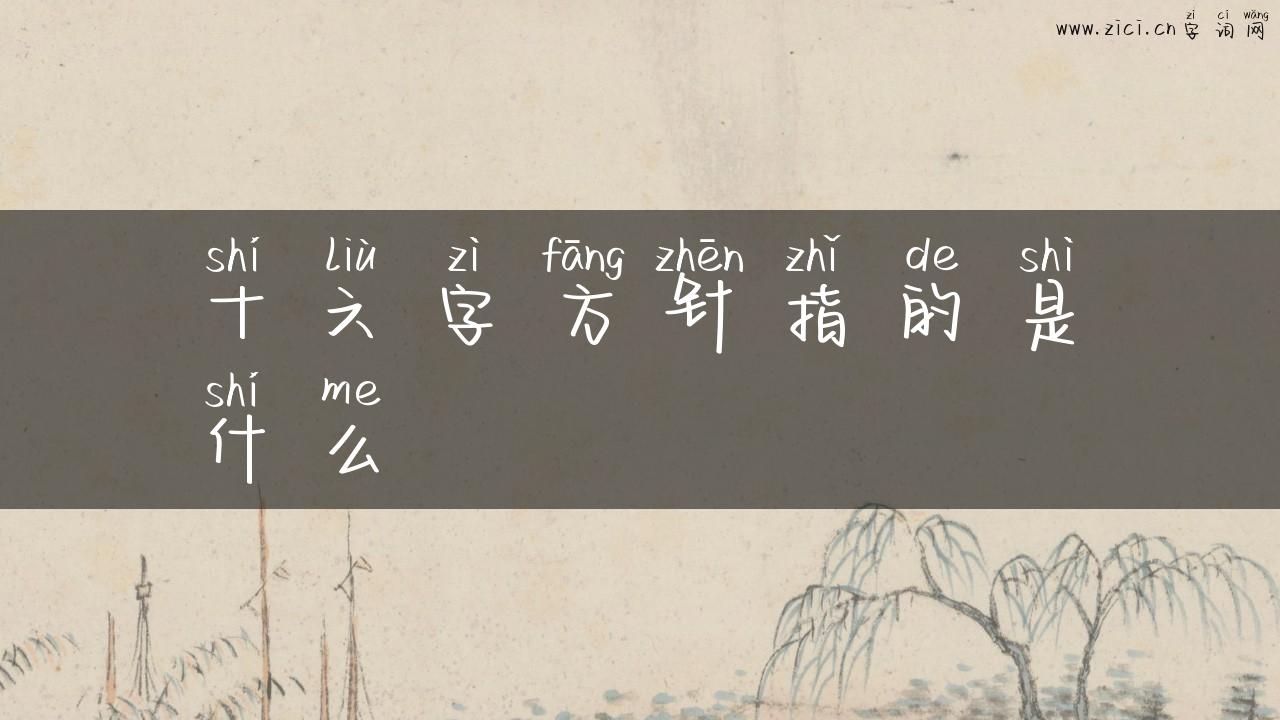 十六字方针指的是什么