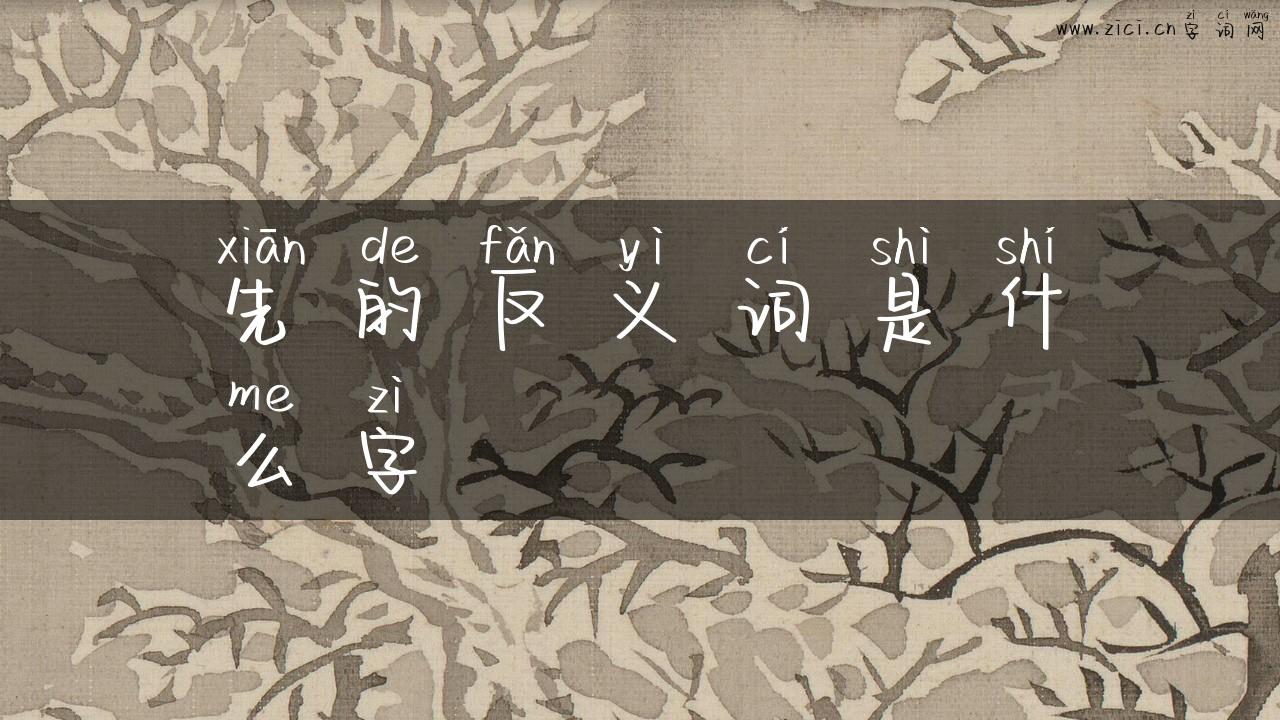 先的反义词是什么字