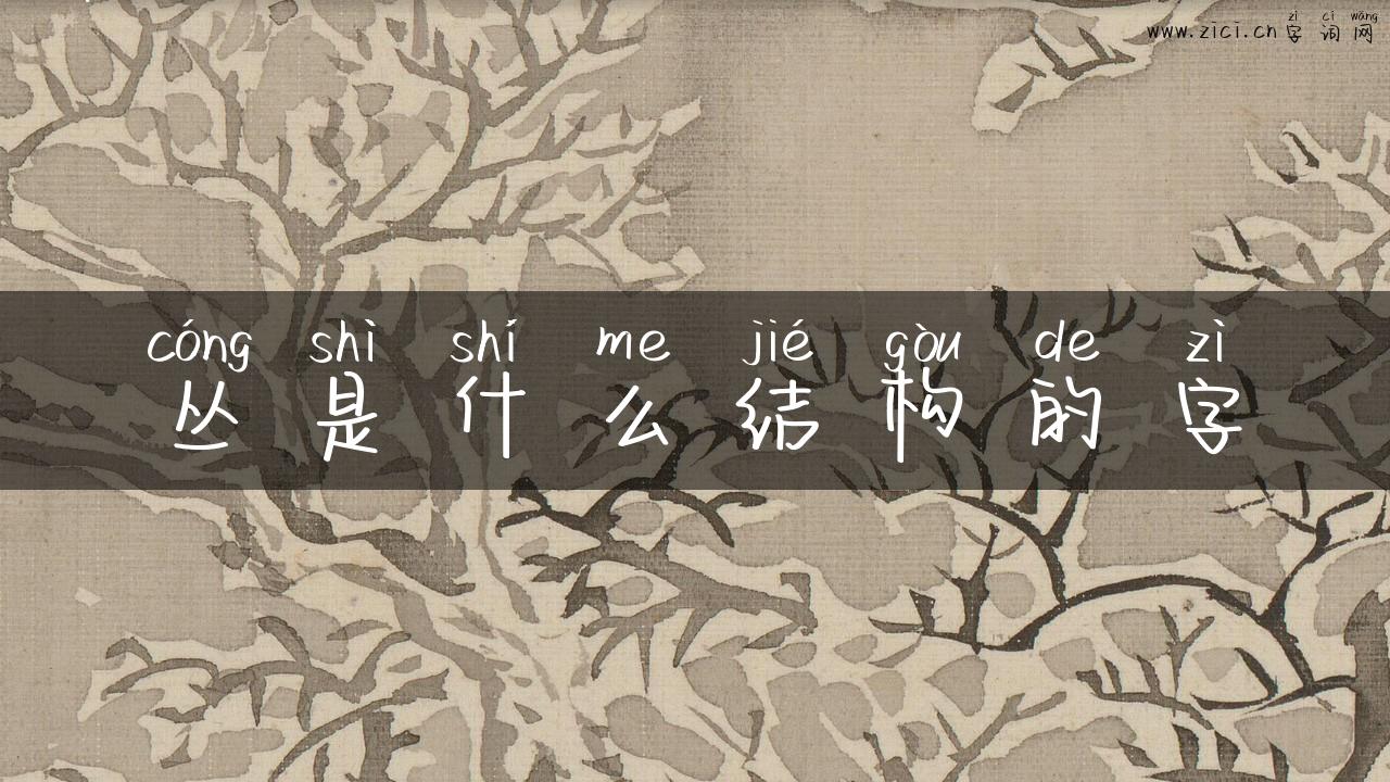 丛是什么结构的字