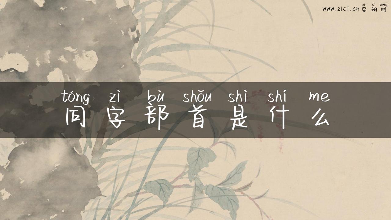 同字部首是什么