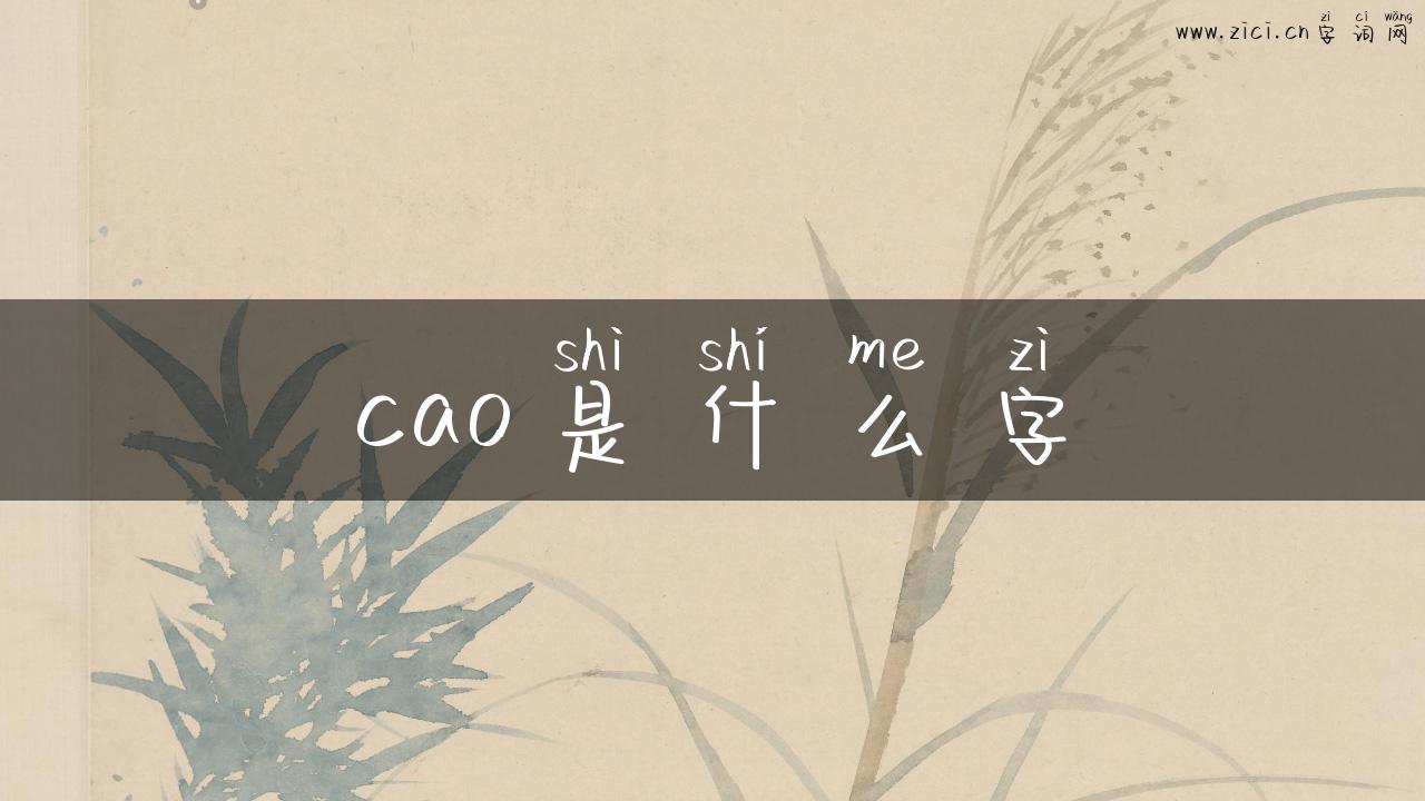cao是什么字