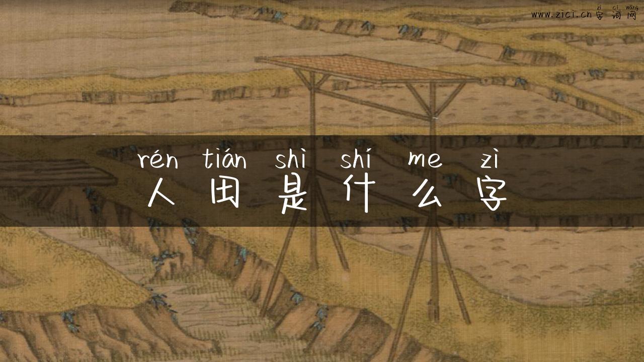 人田是什么字
