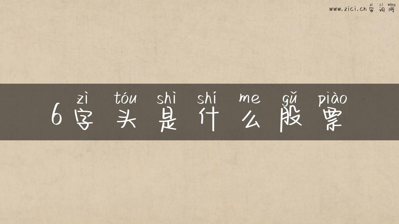 6字头是什么股票