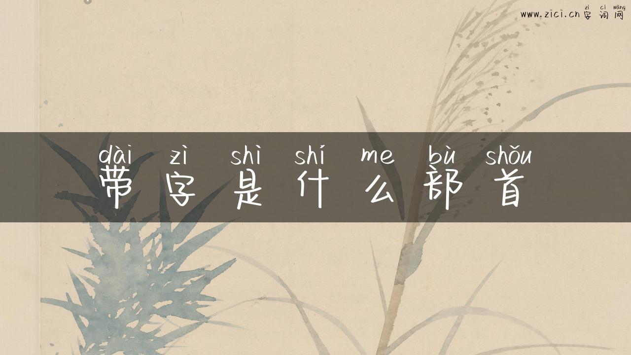 带字是什么部首
