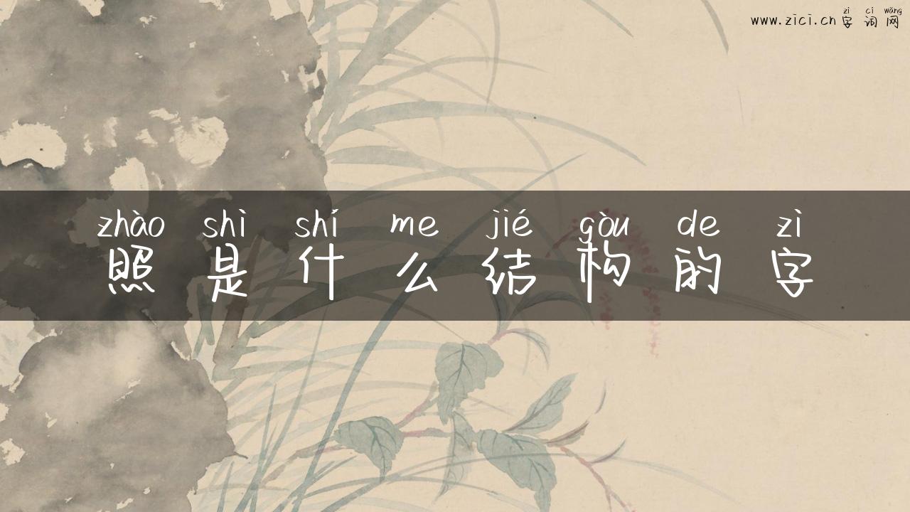 照是什么结构的字