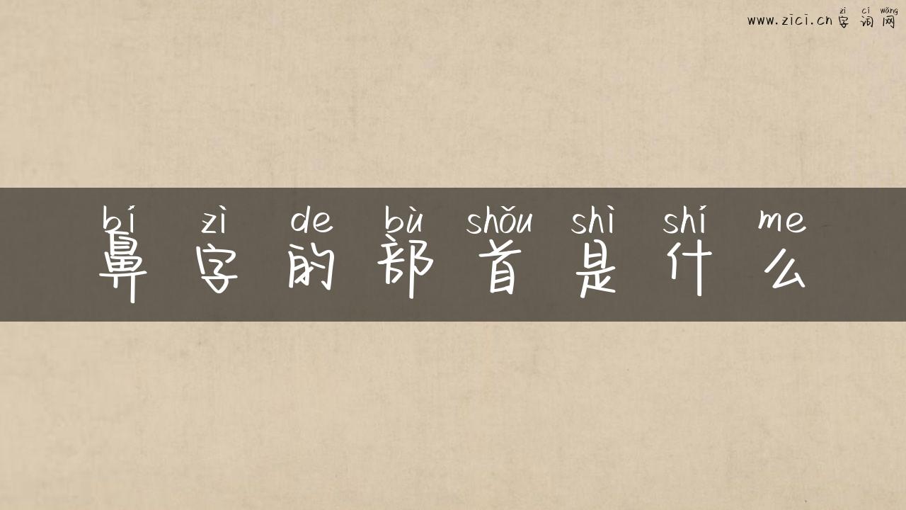鼻字的部首是什么