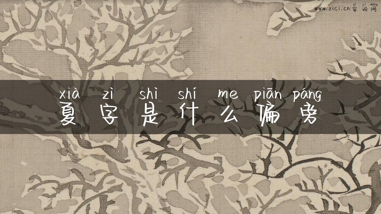 夏字是什么偏旁