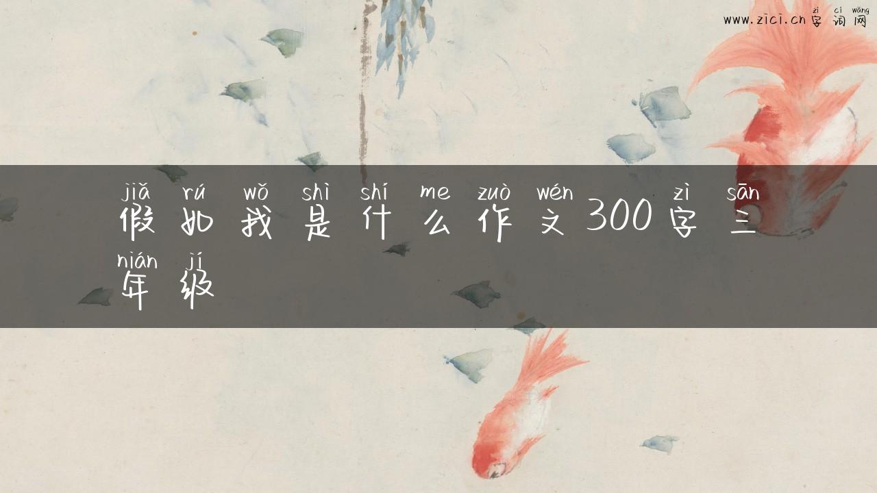 假如我是什么作文300字三年级