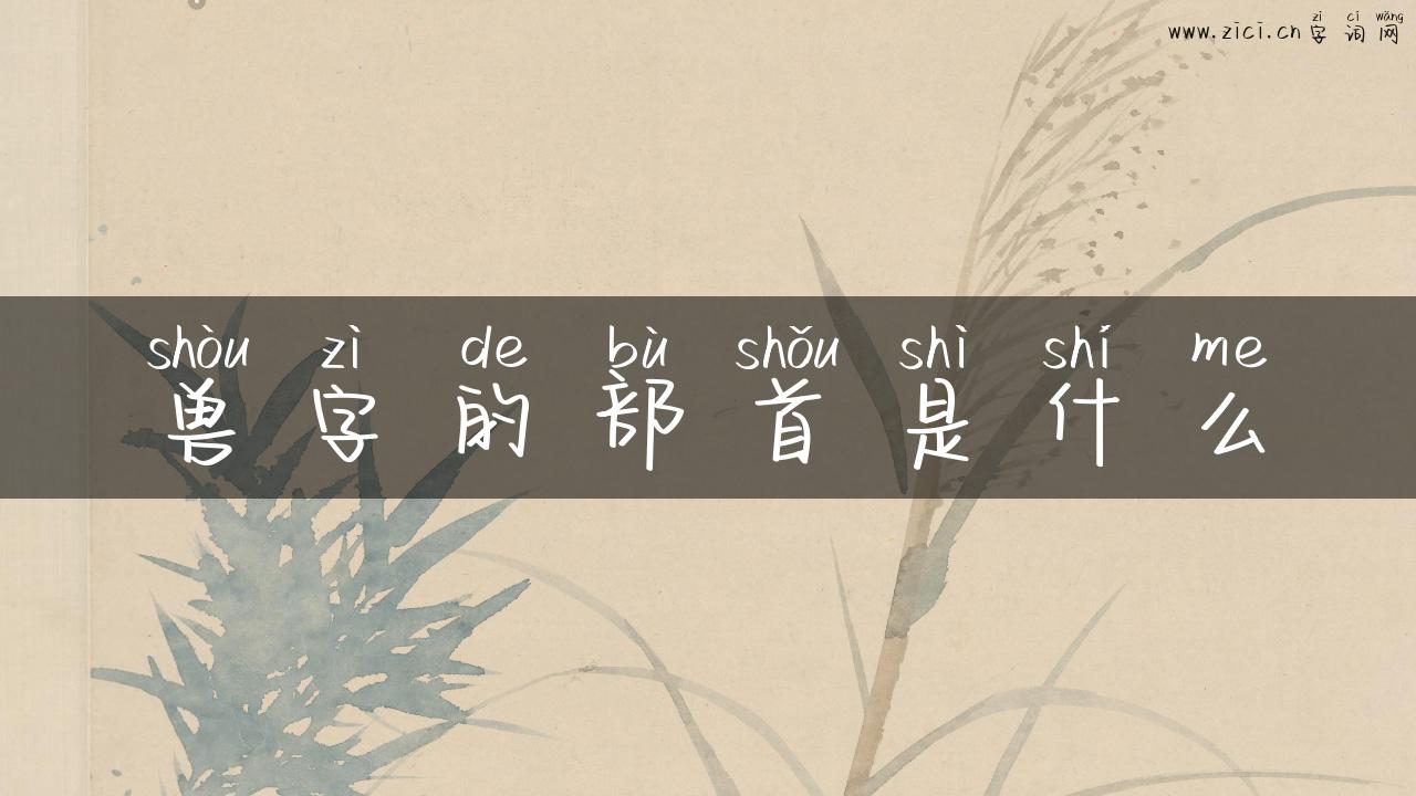 兽字的部首是什么