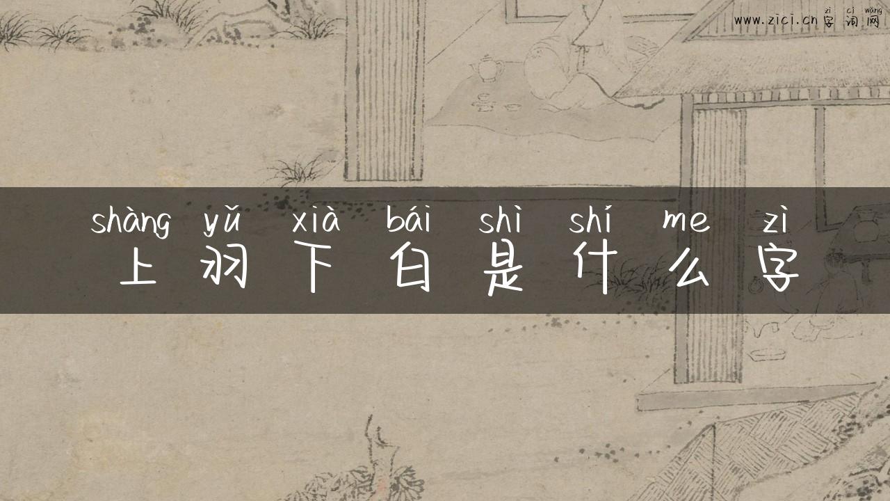 上羽下白是什么字